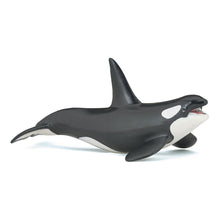 Load image into Gallery viewer, PAPO Marine Life Killer Whale Toy Figure, Three Years or Above, Black/White (56000)