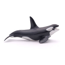 Load image into Gallery viewer, PAPO Marine Life Killer Whale Toy Figure, Three Years or Above, Black/White (56000)