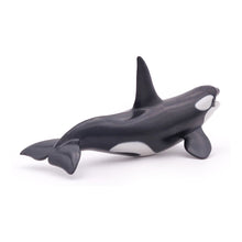 Load image into Gallery viewer, PAPO Marine Life Killer Whale Toy Figure, Three Years or Above, Black/White (56000)