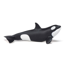 Load image into Gallery viewer, PAPO Marine Life Killer Whale Calf Toy Figure, Three Years or Above, Black/White (56040)