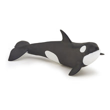 Load image into Gallery viewer, PAPO Marine Life Killer Whale Calf Toy Figure, Three Years or Above, Black/White (56040)