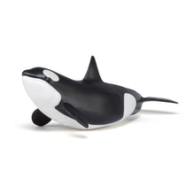 Load image into Gallery viewer, PAPO Marine Life Killer Whale Calf Toy Figure, Three Years or Above, Black/White (56040)