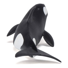 Load image into Gallery viewer, PAPO Marine Life Killer Whale Calf Toy Figure, Three Years or Above, Black/White (56040)