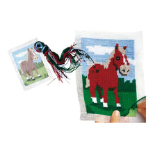 Load image into Gallery viewer, SES CREATIVE Embroidery Horse Set, 6 to 12 Years (00867)
