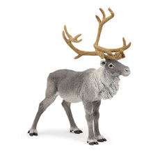 Load image into Gallery viewer, PAPO Wild Animal Kingdom Reindeer Toy Figure (50117)