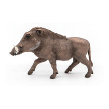 Load image into Gallery viewer, PAPO Wild Animal Kingdom Warthog Toy Figure (50180)