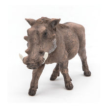 Load image into Gallery viewer, PAPO Wild Animal Kingdom Warthog Toy Figure (50180)