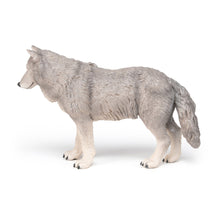 Load image into Gallery viewer, PAPO Large Figurines Large Wolf Toy Figure (50211)