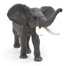 Load image into Gallery viewer, PAPO Wild Animal Kingdom Elephant Toy Figure (50215)