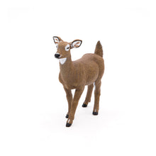 Load image into Gallery viewer, PAPO Wild Animal Kingdom White-Tailed Doe Toy Figure (50218)