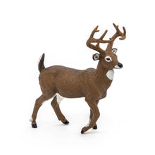 Load image into Gallery viewer, PAPO Wild Animal Kingdom White-Tailed Deer Toy Figure (53021)