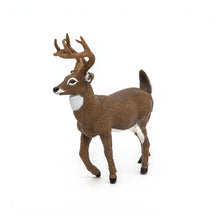 Load image into Gallery viewer, PAPO Wild Animal Kingdom White-Tailed Deer Toy Figure (53021)