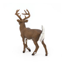 Load image into Gallery viewer, PAPO Wild Animal Kingdom White-Tailed Deer Toy Figure (53021)