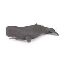 Load image into Gallery viewer, PAPO Marine Life Sperm Whale Toy Figure (56036)