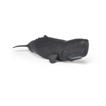 Load image into Gallery viewer, PAPO Marine Life Sperm Whale Toy Figure (56036)