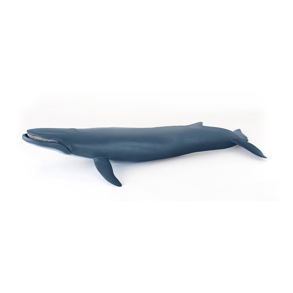 PAPO Marine Life Blue Whale Toy Figure (56037)