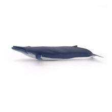 Load image into Gallery viewer, PAPO Marine Life Blue Whale Toy Figure (56037)