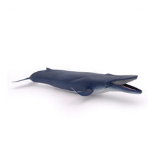 Load image into Gallery viewer, PAPO Marine Life Blue Whale Toy Figure (56037)