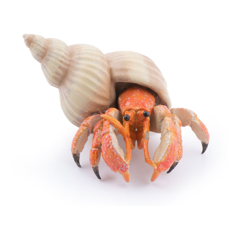 PAPO Marine Life Hermit Crab Toy Figure (56054)