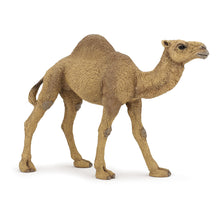 Load image into Gallery viewer, PAPO Wild Animal Kingdom Dromedary Toy Figure (50151)