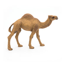 Load image into Gallery viewer, PAPO Wild Animal Kingdom Dromedary Toy Figure (50151)