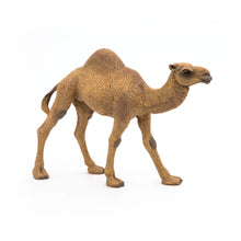 Load image into Gallery viewer, PAPO Wild Animal Kingdom Dromedary Toy Figure (50151)