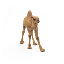 Load image into Gallery viewer, PAPO Wild Animal Kingdom Dromedary Toy Figure (50151)