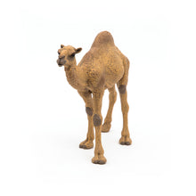 Load image into Gallery viewer, PAPO Wild Animal Kingdom Dromedary Toy Figure (50151)