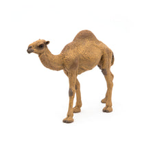 Load image into Gallery viewer, PAPO Wild Animal Kingdom Dromedary Toy Figure (50151)