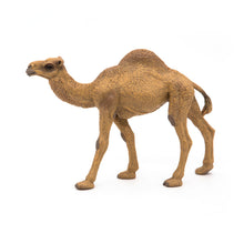 Load image into Gallery viewer, PAPO Wild Animal Kingdom Dromedary Toy Figure (50151)