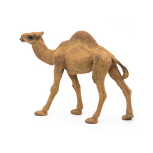 Load image into Gallery viewer, PAPO Wild Animal Kingdom Dromedary Toy Figure (50151)
