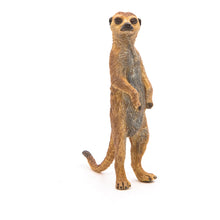 Load image into Gallery viewer, PAPO Wild Animal Kingdom Standing Meerkat Toy Figure (50206)