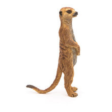 Load image into Gallery viewer, PAPO Wild Animal Kingdom Standing Meerkat Toy Figure (50206)