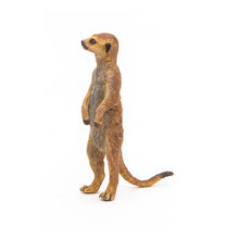 Load image into Gallery viewer, PAPO Wild Animal Kingdom Standing Meerkat Toy Figure (50206)