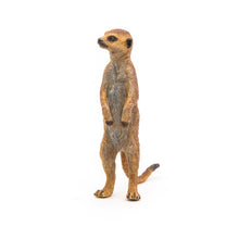 Load image into Gallery viewer, PAPO Wild Animal Kingdom Standing Meerkat Toy Figure (50206)
