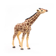 Load image into Gallery viewer, PAPO Wild Animal Kingdom Giraffe Head Up Toy Figure (50236)