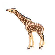 Load image into Gallery viewer, PAPO Wild Animal Kingdom Giraffe Head Up Toy Figure (50236)