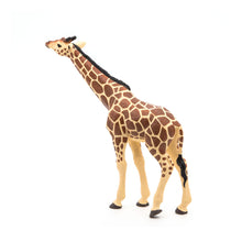 Load image into Gallery viewer, PAPO Wild Animal Kingdom Giraffe Head Up Toy Figure (50236)