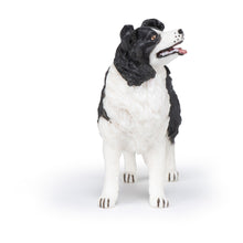 Load image into Gallery viewer, PAPO Dog and Cat Companions Border Collie Toy Figure (54008)