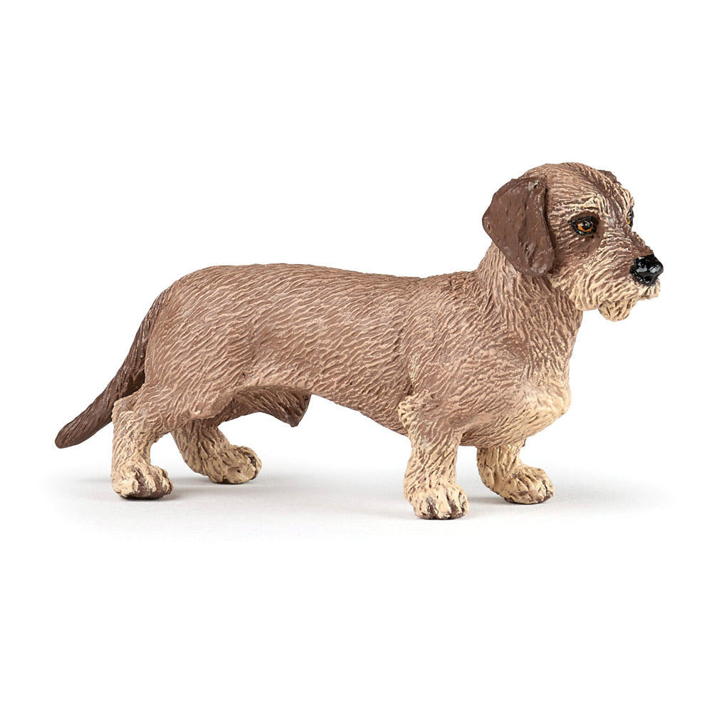 PAPO Dog and Cat Companions Dachshund Toy Figure (54043)