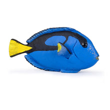 Load image into Gallery viewer, PAPO Marine Life Surgeonfish Toy Figure (56024)