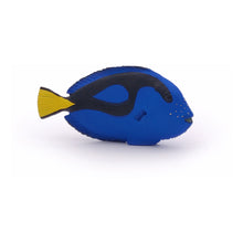 Load image into Gallery viewer, PAPO Marine Life Surgeonfish Toy Figure (56024)