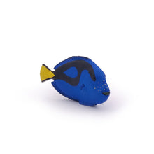 Load image into Gallery viewer, PAPO Marine Life Surgeonfish Toy Figure (56024)