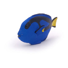 Load image into Gallery viewer, PAPO Marine Life Surgeonfish Toy Figure (56024)
