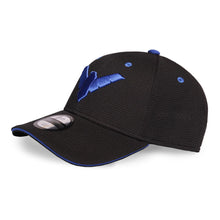 Load image into Gallery viewer, DC COMICS Nightwing Logo Adjustable Cap (BA325037BTM)