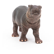 Load image into Gallery viewer, PAPO Wild Animal Kingdom Hippopotamus Calf Toy Figure (50052)