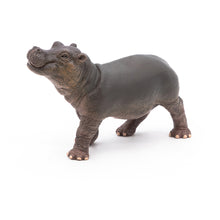 Load image into Gallery viewer, PAPO Wild Animal Kingdom Hippopotamus Calf Toy Figure (50052)