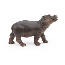 Load image into Gallery viewer, PAPO Wild Animal Kingdom Hippopotamus Calf Toy Figure (50052)