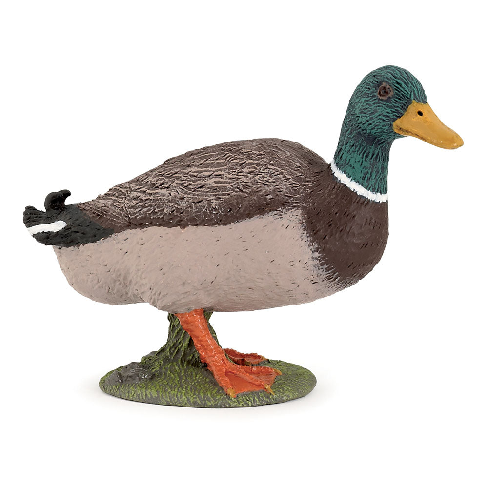 PAPO Farmyard Friends Mallard Duck Toy Figure (51155)