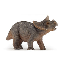 Load image into Gallery viewer, PAPO Dinosaurs Young Triceratops Toy Figure (55036)
